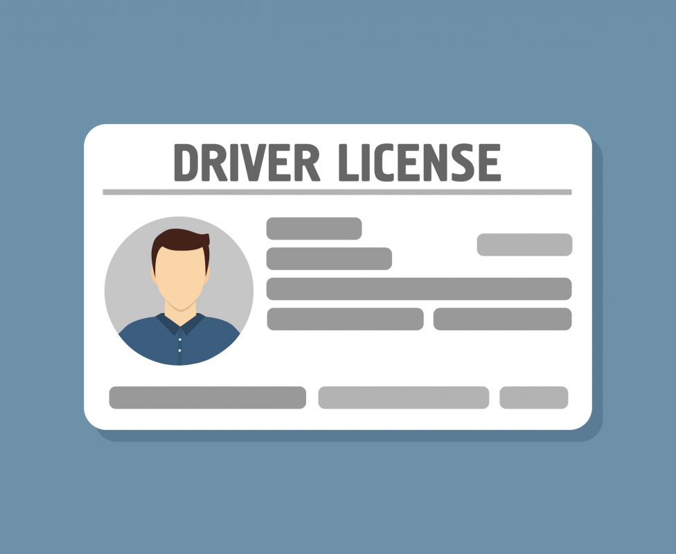 International Driver's License Card