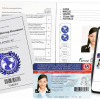 International Driving License (IDP) documents of a women., Sample Page